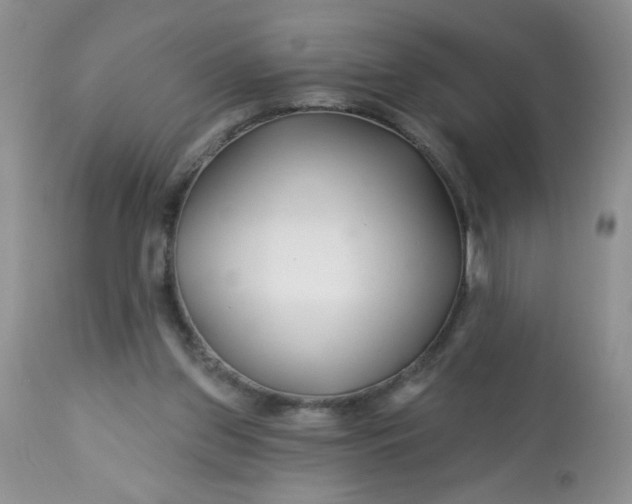 X0000113580157200910091510