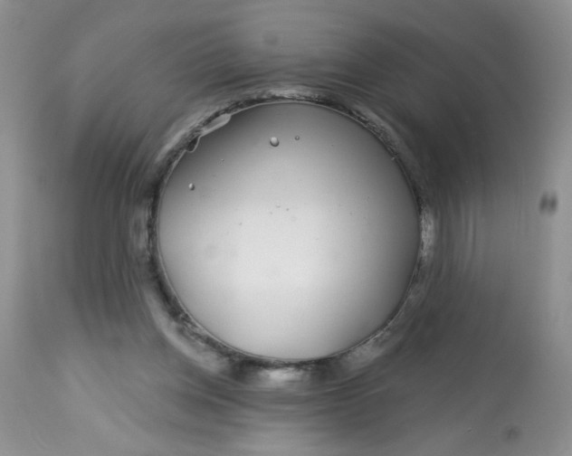 X0000113580158200910091510