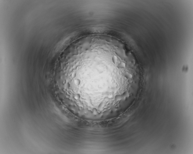 X0000113580161200910091510