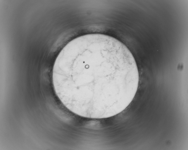 X0000113580162200910091510