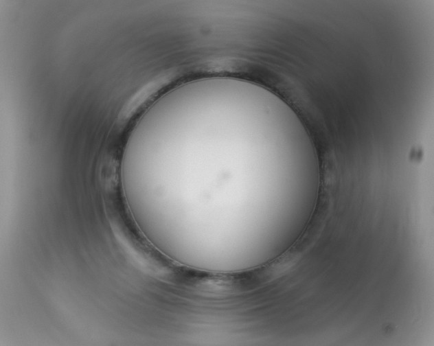 X0000113580164200910091510