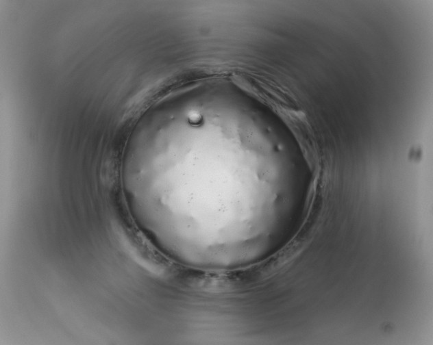 X0000113580165200910091510