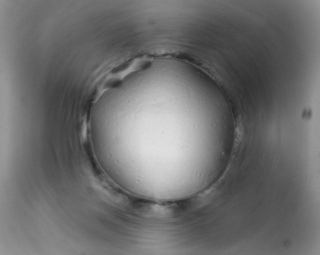 X0000113580166200910091510