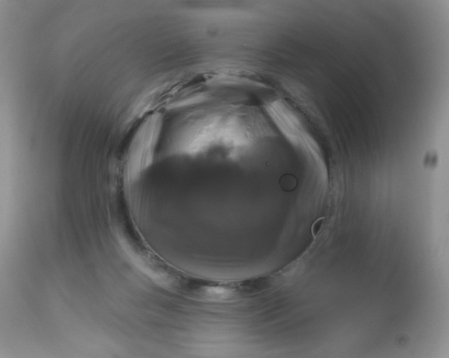 X0000113580167200910091510