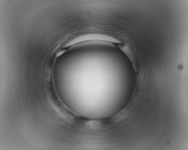 X0000113580168200910091510