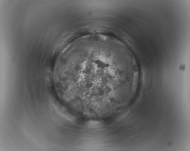 X0000113580169200910091510