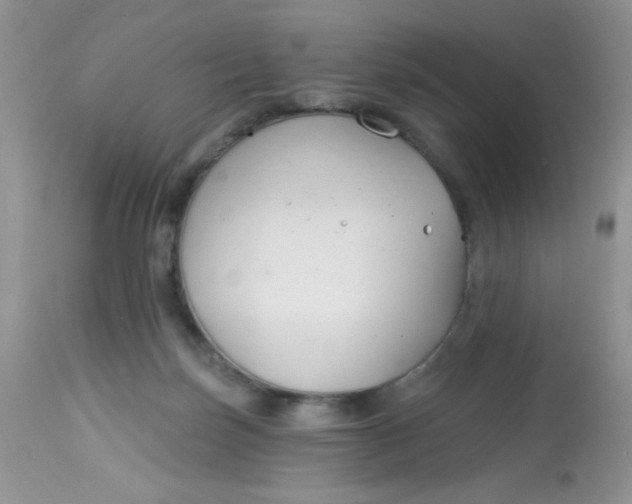 X0000113580171200910091510