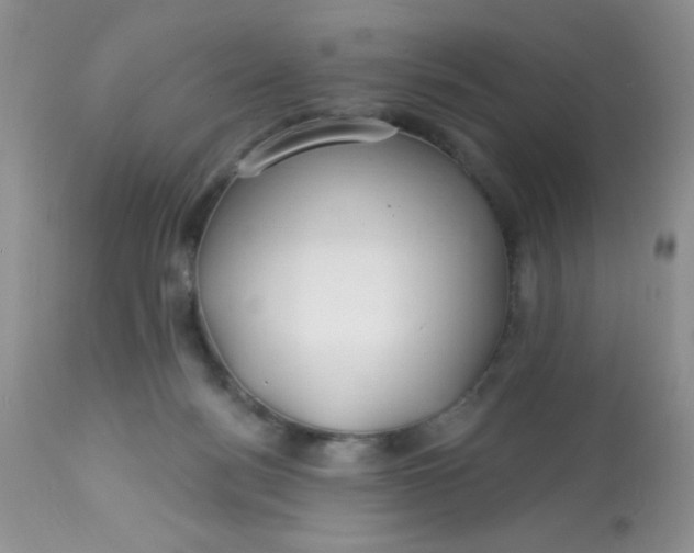 X0000113580172200910091510