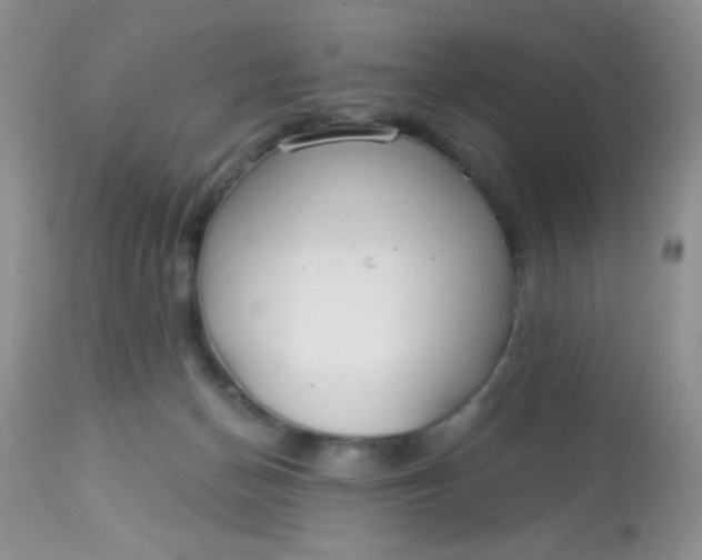 X0000113580174200910091510