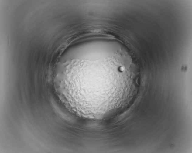 X0000113580175200910091510