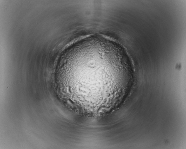 X0000113580177200910091510