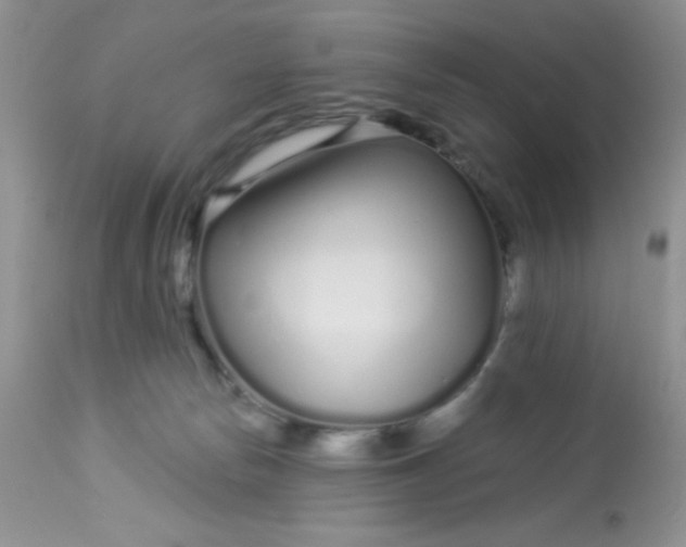 X0000113580178200910091510