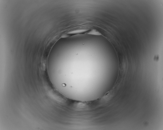 X0000113580180200910091510