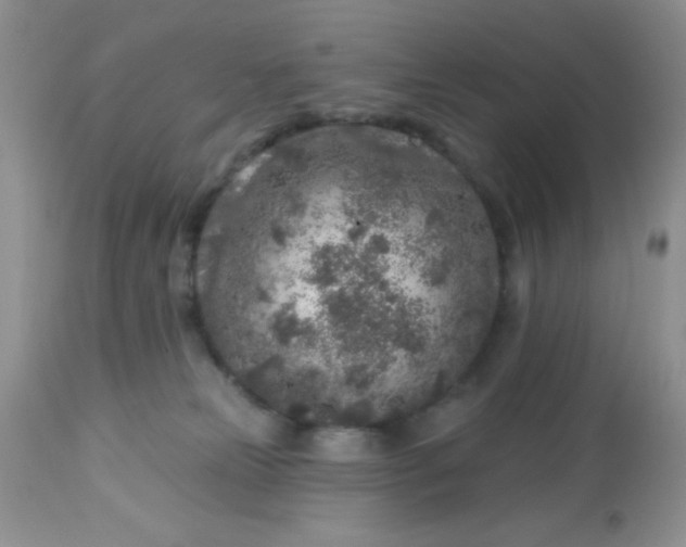 X0000113580181200910091510