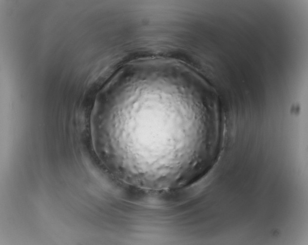 X0000113580182200910091510