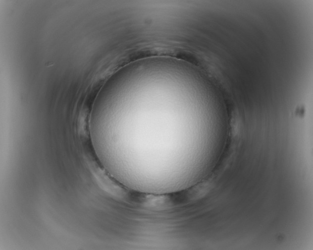 X0000113580185200910091510