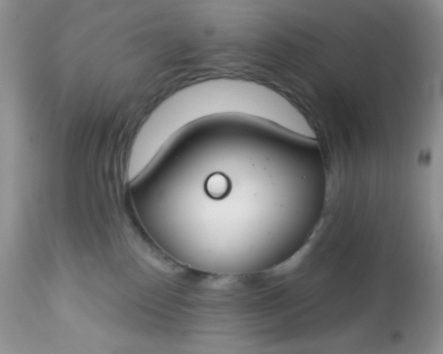 X0000113580186200910091510