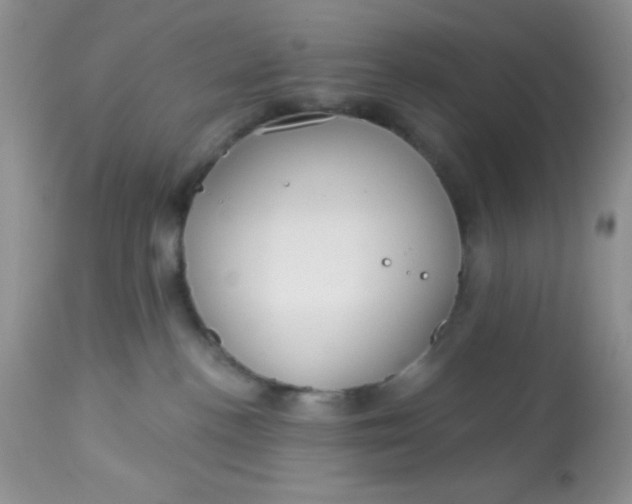 X0000113580188200910091510