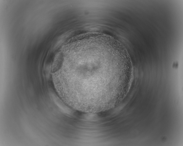 X0000113580189200910091510