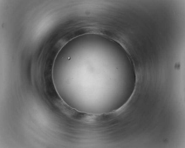 X0000113580190200910091510