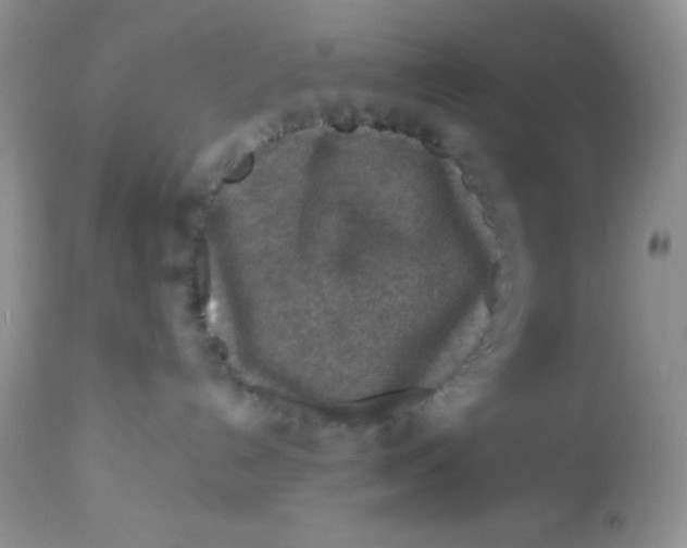 X0000113580192200910091510