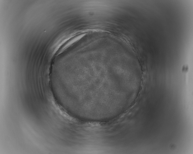 X0000113580194200910091510