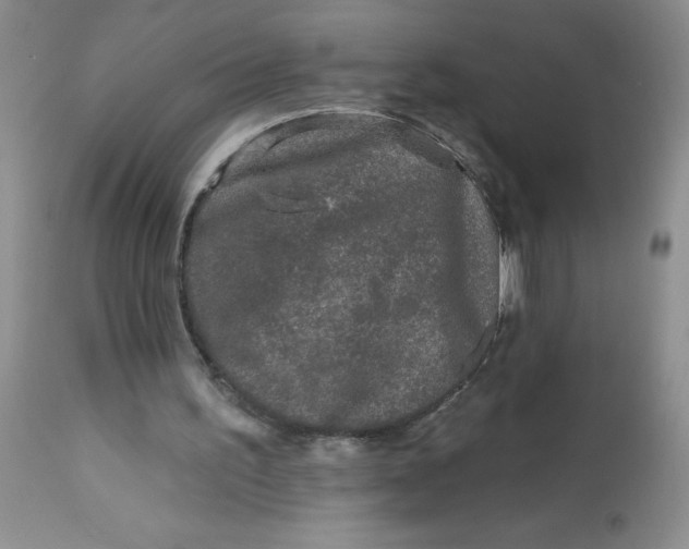 X0000113580195200910091510