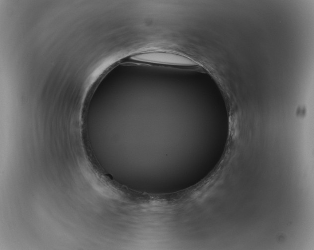 X0000113580196200910091510