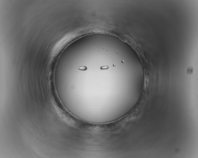 X0000113580197200910091510