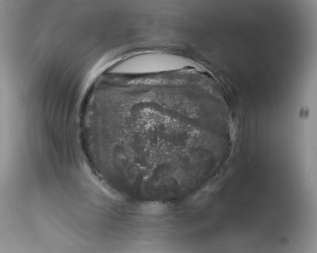 X0000113580198200910091510