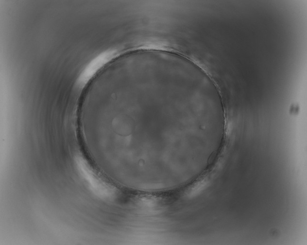 X0000113580199200910091510