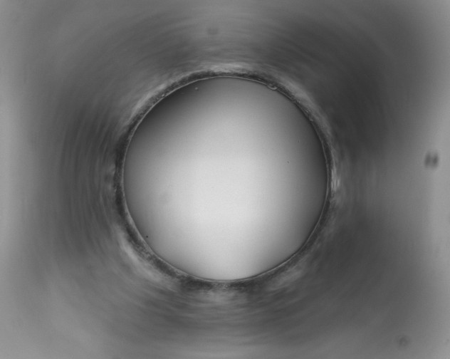 X0000113580201200910091510