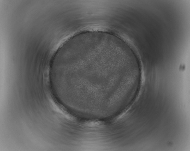 X0000113580202200910091510