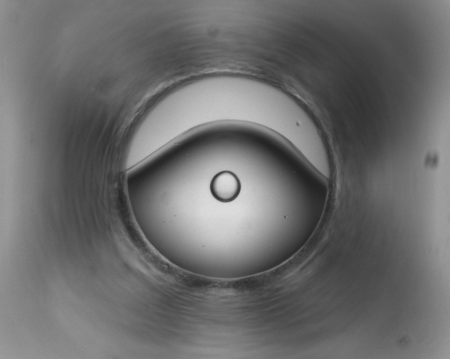 X0000113580203200910091510