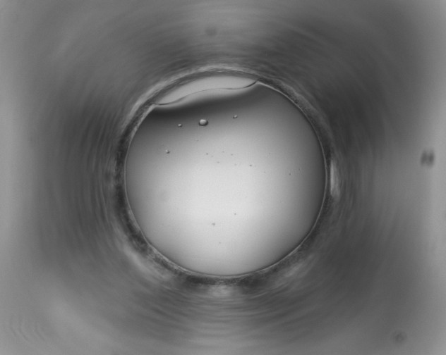 X0000113580204200910091510