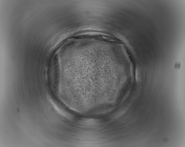 X0000113580205200910091510