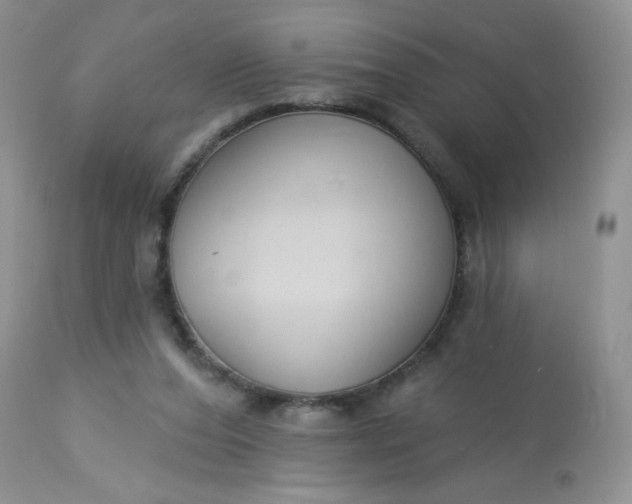 X0000113580208200910091510