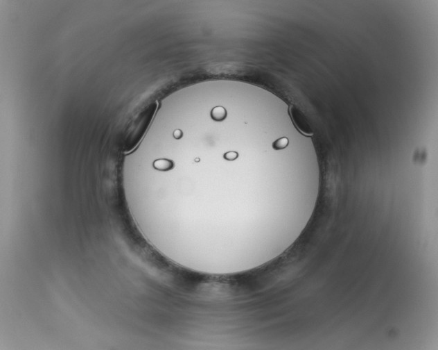 X0000113580211200910091510