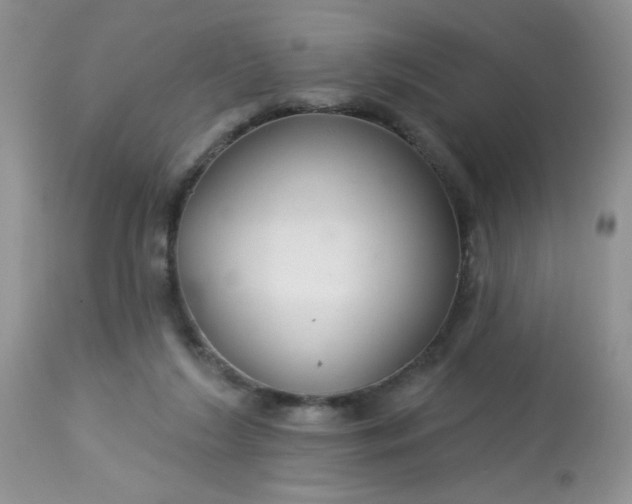 X0000113580212200910091510