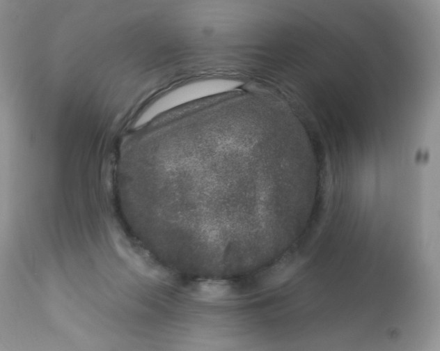 X0000113580214200910091510