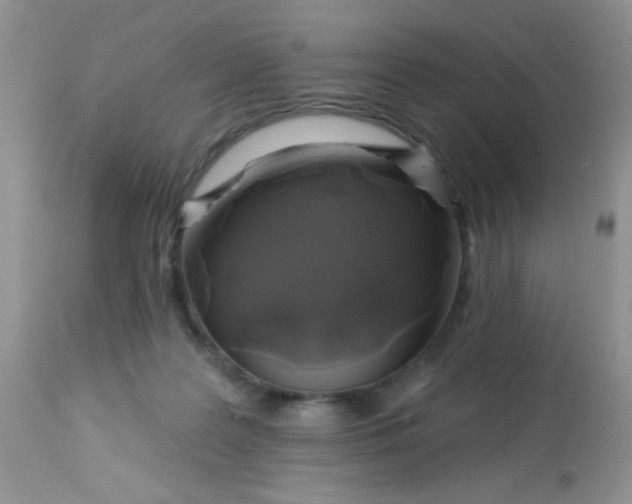 X0000113580219200910091509