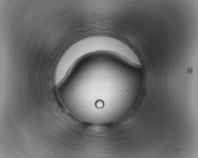 X0000113580221200910091509