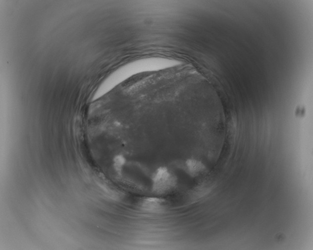 X0000113580222200910091509