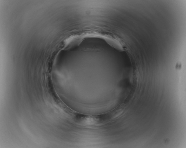 X0000113580223200910091509