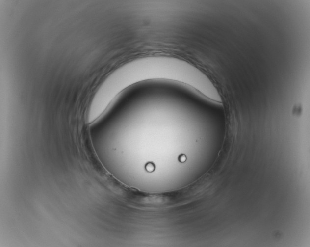 X0000113580225200910091509