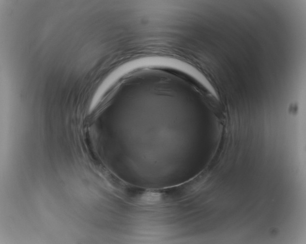 X0000113580227200910091509