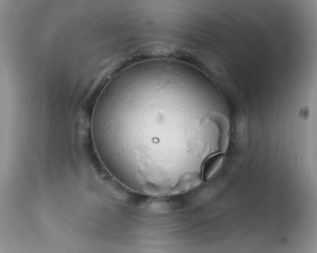 X0000113580228200910091509