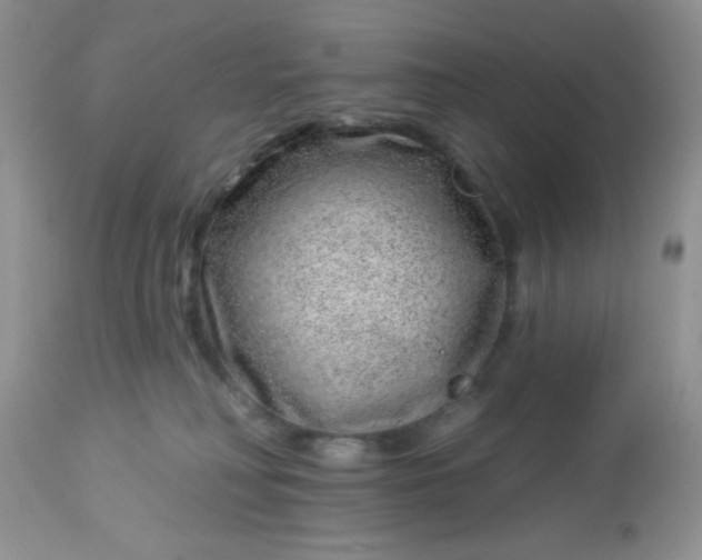 X0000113580230200910091509