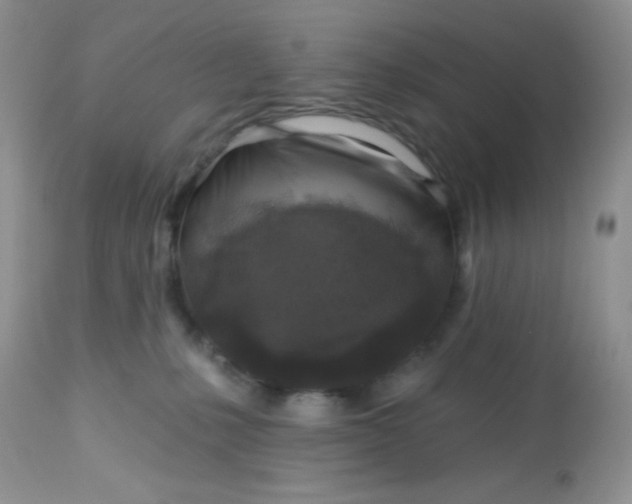 X0000113580231200910091509