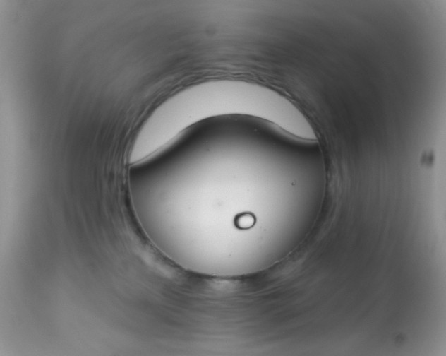 X0000113580233200910091509